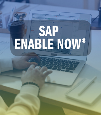 SAP ENABLE NOW&reg;